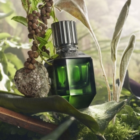 روبرتو کاوالی پاردایس فاند مردانهRoberto cavalli Paradise Found For Men