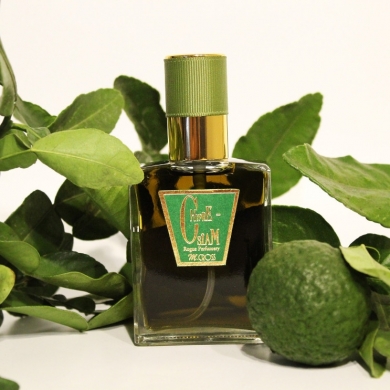 روگ پرفیومری شیپغ سیام